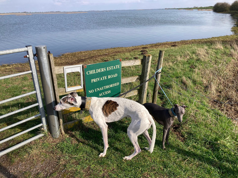 Nene Washes-Whittlesey必去景点