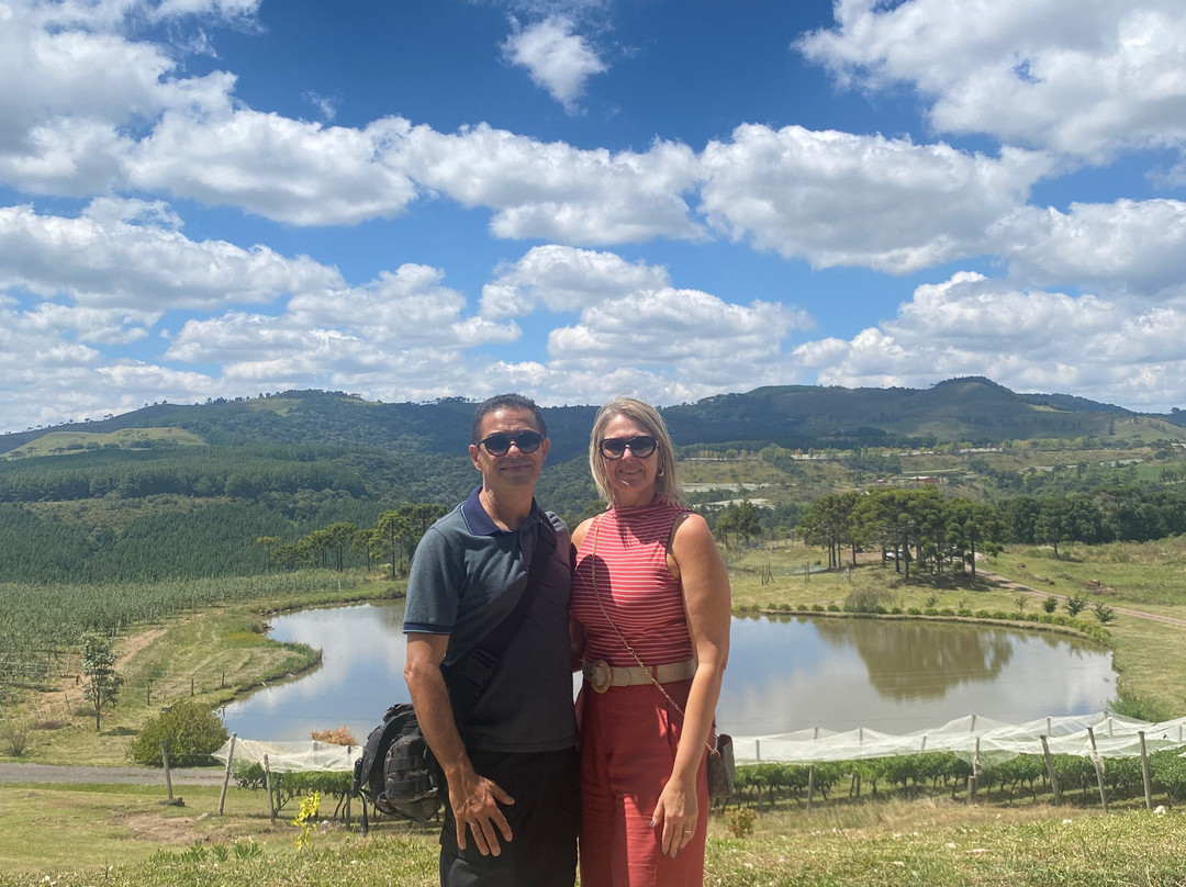 Vinhedos do Monte Agudo-Sao Joaquim必去景点