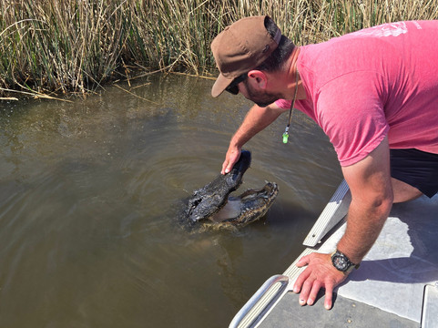 Ragin Cajun Airboat Tours-新奥尔良必去景点