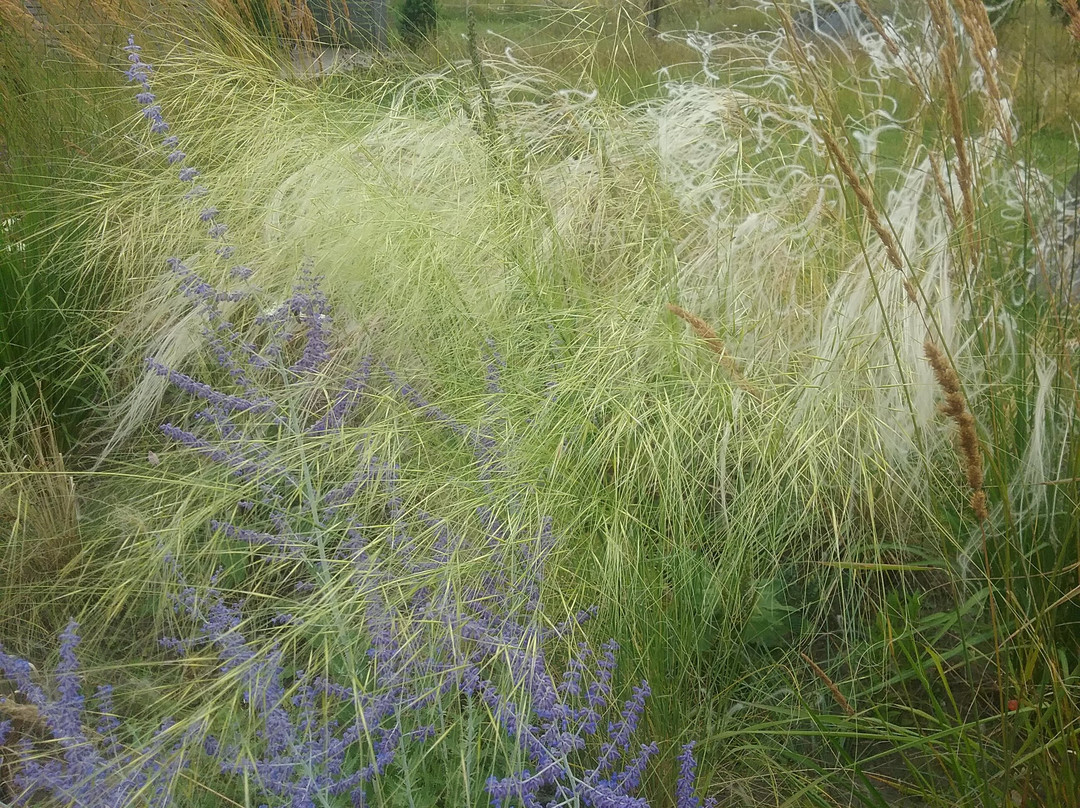 Garden of seven winds-Muhu必去景点