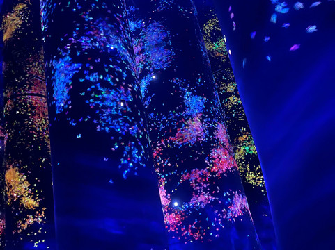 teamLab Phenomena Abu Dhabi-阿布扎比必去景点