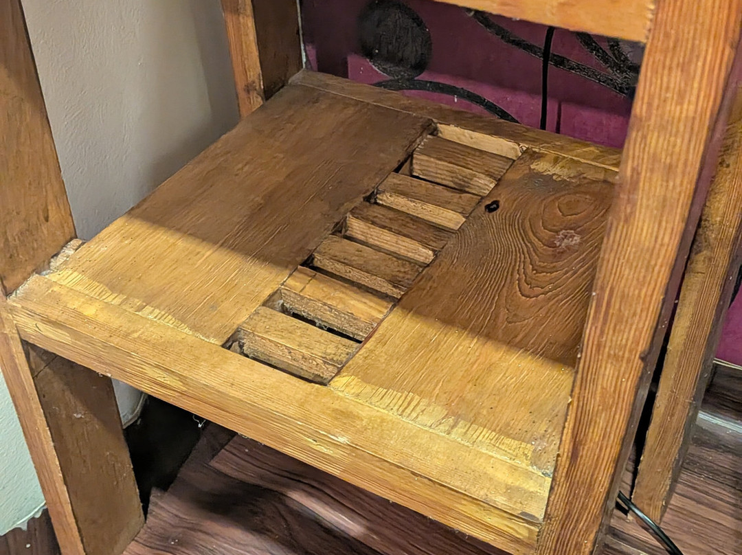 Venezia Cruise - Alleppey Houseboat-阿拉普扎必去景点