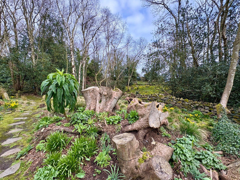 Greba Secret Gardens Greyabbey