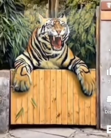 Blackwater Falls State Park-戴维斯必去景点