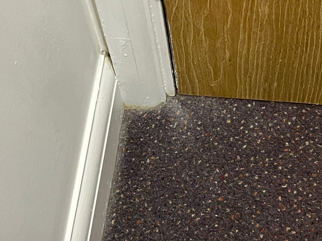 埃普瑟姆Sure Hotel Collection by Best Western兰花主图