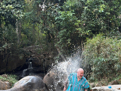Chiangmai Elephant Sanctuary-清迈必去景点