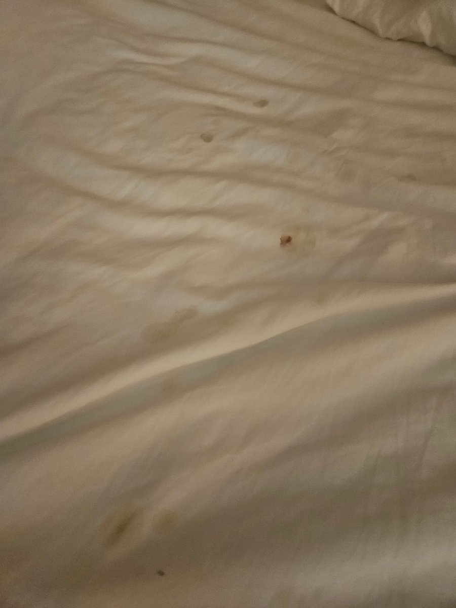 海伦娜万枫酒店及套房-酒店景观