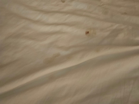 海伦娜万枫酒店及套房主图