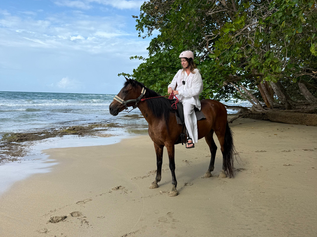 Caribe Horse Riding Club-Cocles必去景点
