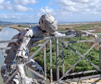 Riserva Naturale Diaccia Botrona-佩斯卡亚堡必去景点