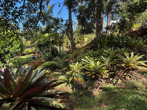 Las Cruces Biological Station and Wilson Botanical Garden-San Vito必去景点