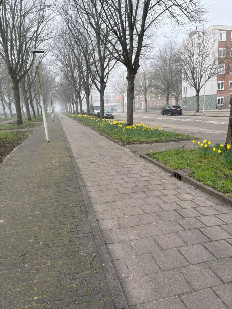 Westlake Hotels Amsterdam-官方