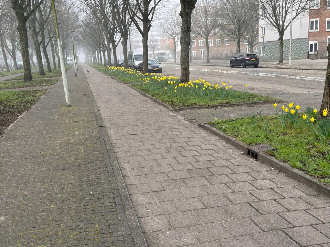 Westlake Hotels Amsterdam主图