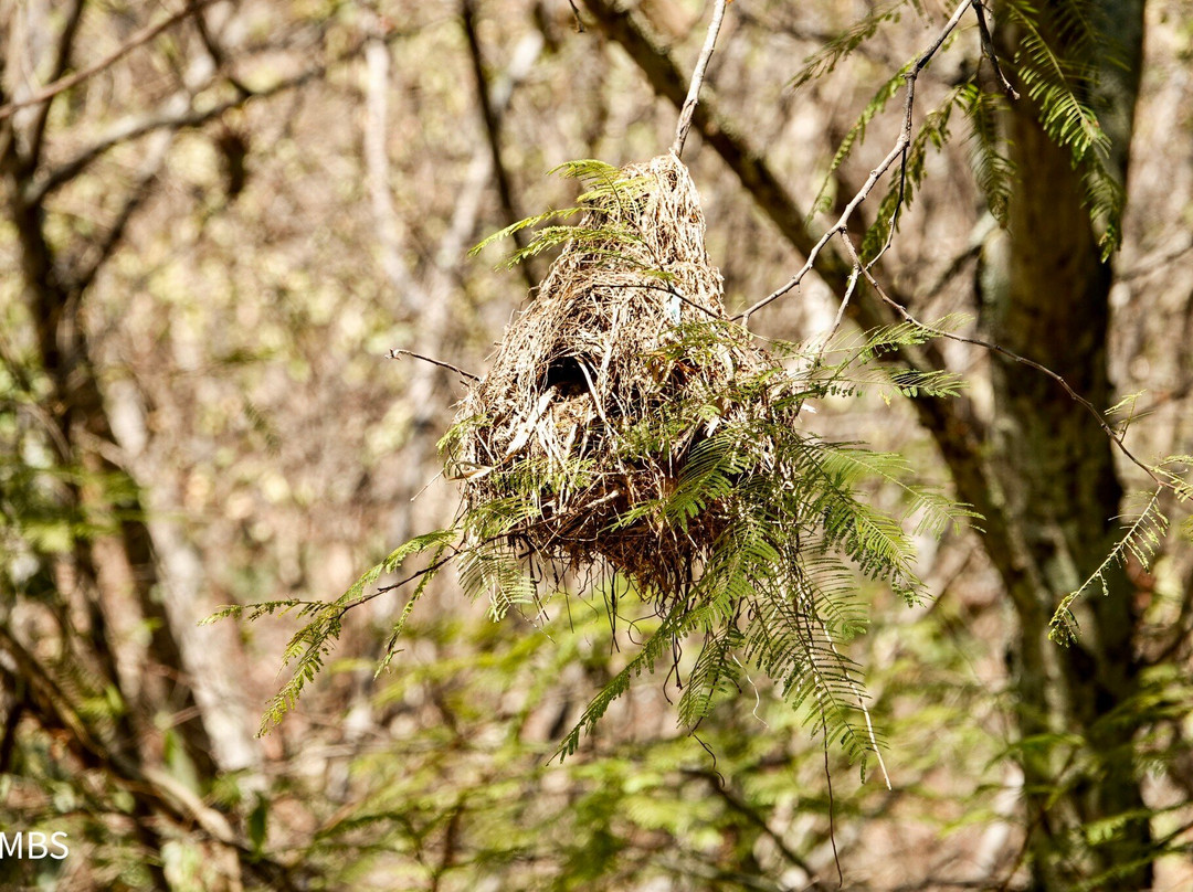 Zapotrek-瓦哈卡必去景点