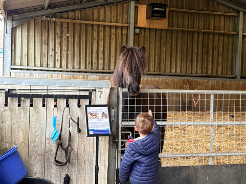World Horse Welfare Penny Farm-黑潭必去景点