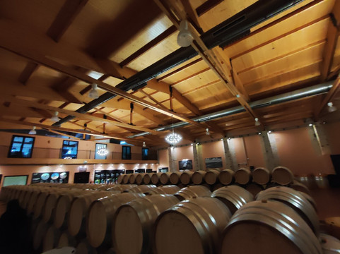 Emilio Moro Bodegas-Pesquera de Duero必去景点