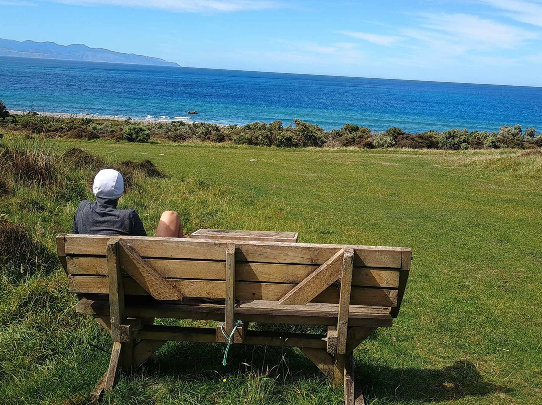 Wildfinder-惠灵顿必去景点