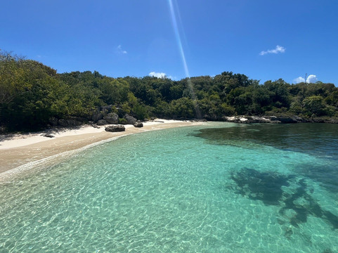 Wadadli Cats-安提瓜必去景点