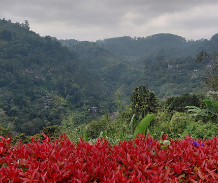 Kumar Tours-Aluthgama必去景点