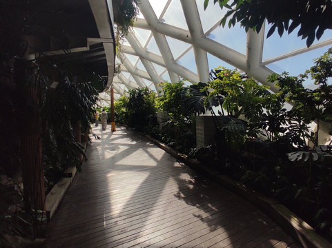 Konya Tropikal Kelebek Bahçesi-科尼亚必去景点