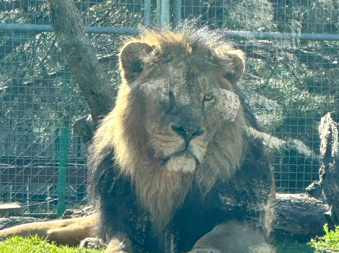Zoo Debrecen-德布勒森必去景点