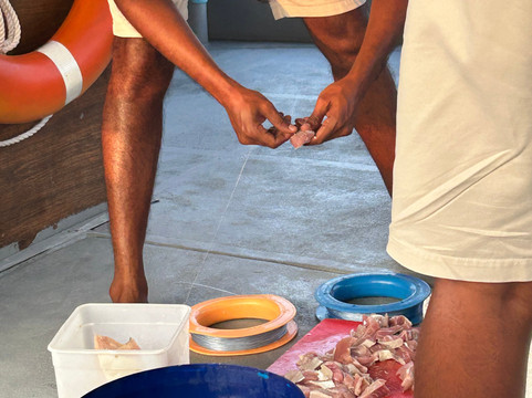 Blue Wave Ifuru By Dive Butler At Ifuru Island Maldives-Ifuru必去景点