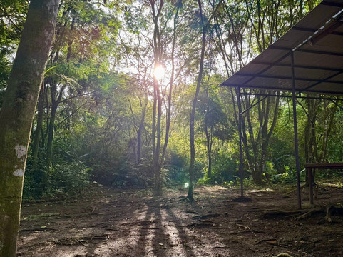 The Wellness Park Arenal & Ecolodge-福德圣卡洛斯必去景点