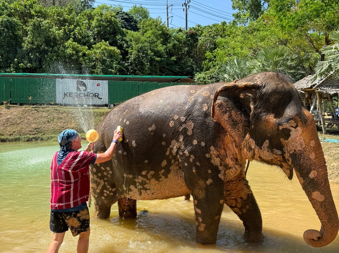 Kerchor Elephant Family Phuket-卡图必去景点