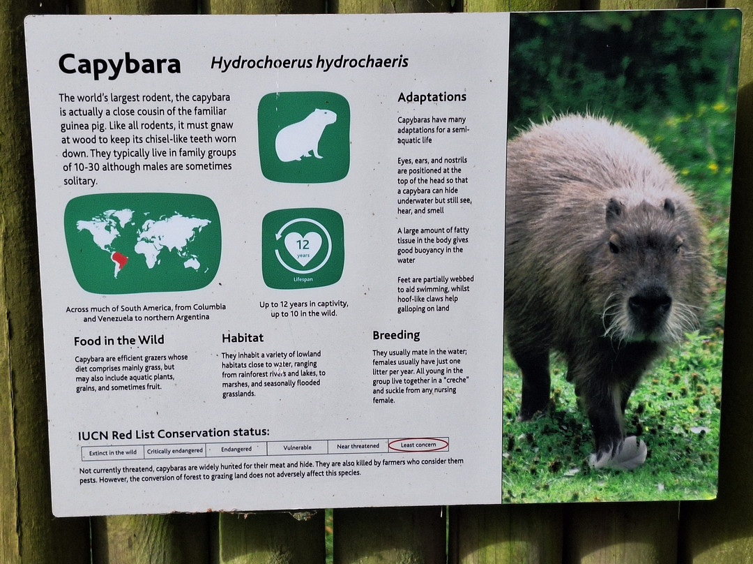 Curraghs Wildlife Park-Ballaugh必去景点