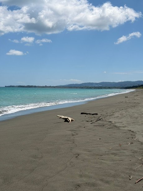 Botanika奥萨半岛，希尔顿精选系列-官方