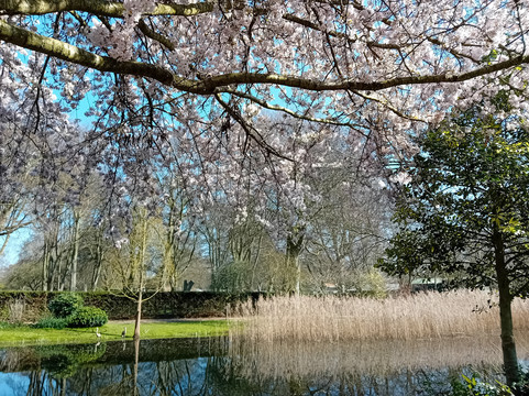 Chippenham Park-Chippenham必去景点