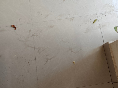 Hotel Tamilnadu - Rameswaram主图