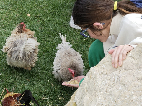Rifugio Domo Mea-Olmedo必去景点