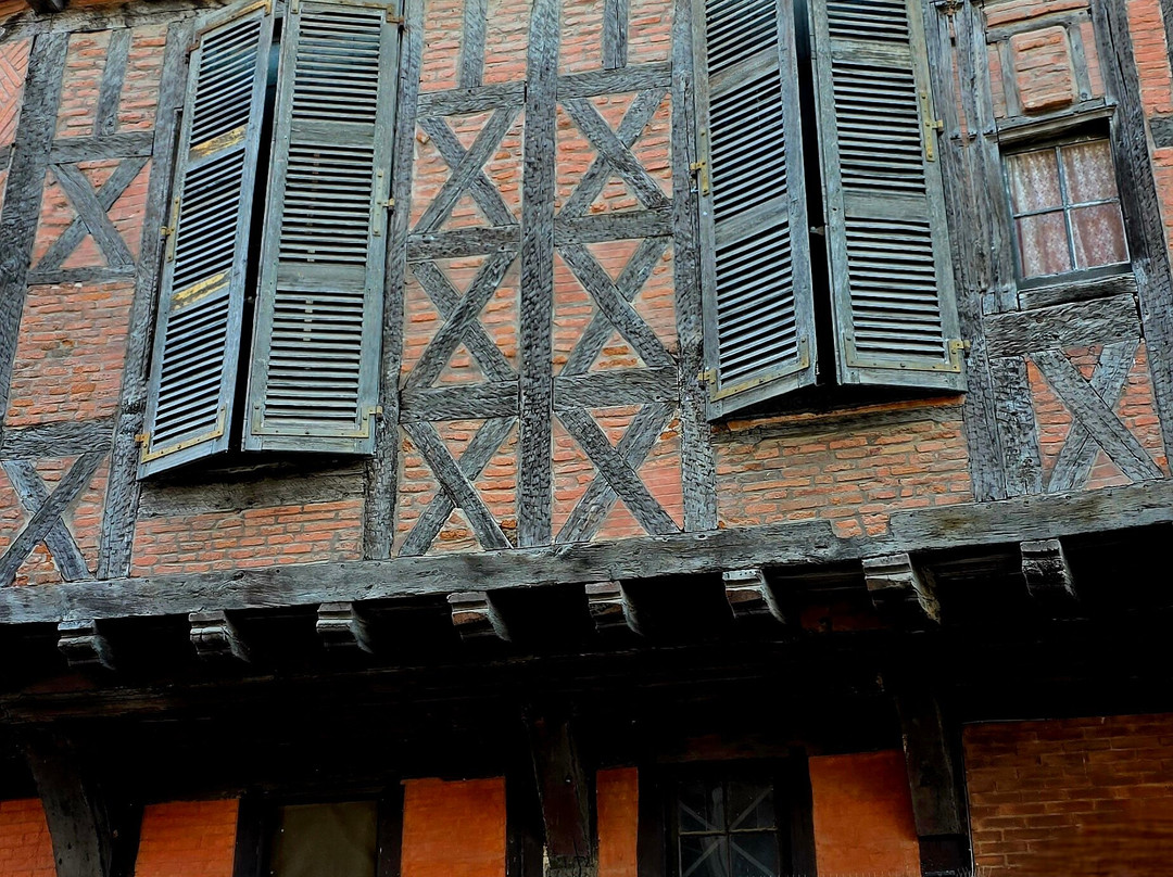 Cloitre de la Collegiale Saint Salvy-阿尔比必去景点