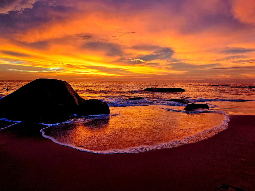 Ayurveda Garden主图