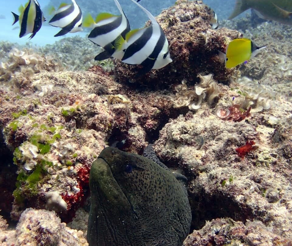 基地潜水中心-Pereybere必去景点