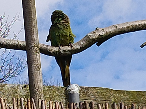 Wild Zoological Park-Bobbington必去景点