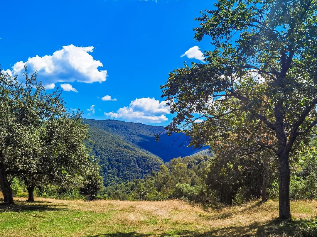 Via Transilvanica-Piatra Fantanele必去景点