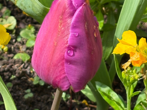 Jardin Public de Bayeux-巴约必去景点
