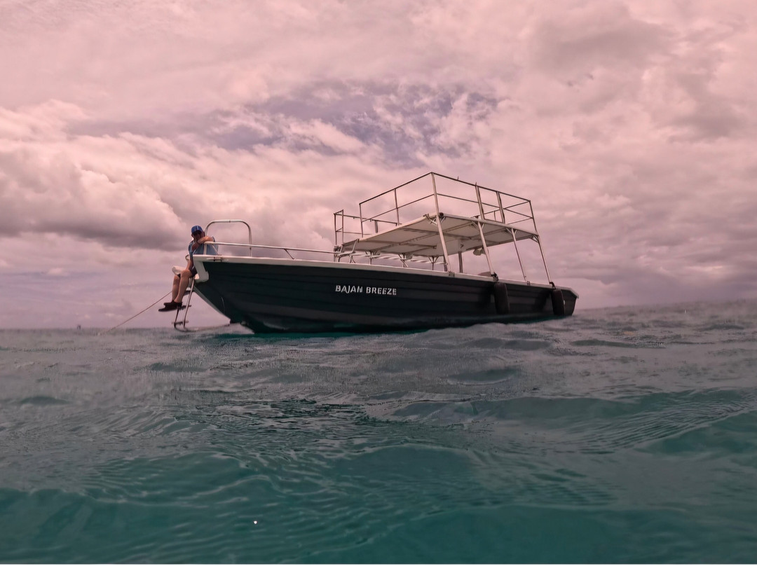 Barbados Snorkeling Tours by Hayden Browne-Holetown必去景点