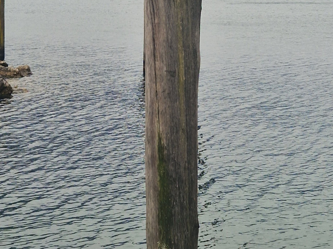 Cascata Del Ponale-里瓦德尔加尔达必去景点