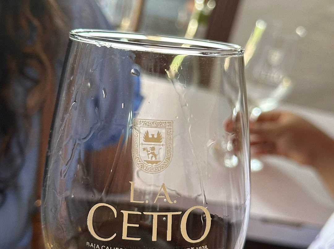 L.A. Cetto Boutique Valle de Guadalupe-Valle de Guadalupe必去景点