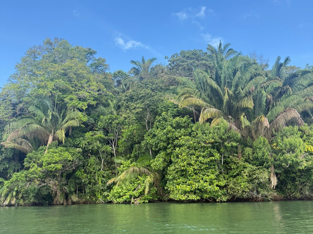 Panama Road Trips-巴拿马城必去景点