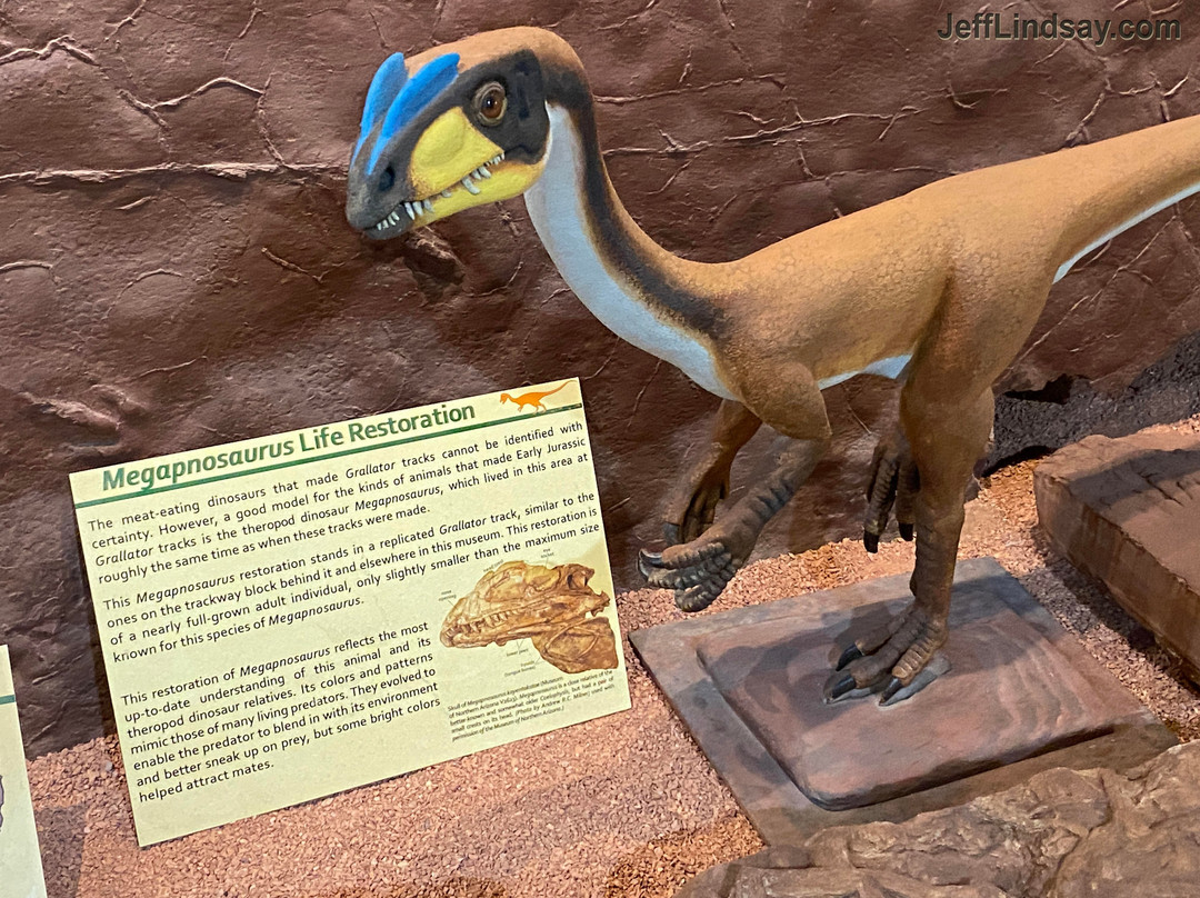 St. George Dinosaur Discovery Site at Johnson Farm-圣乔治必去景点