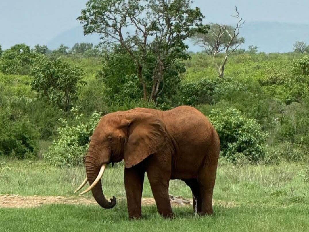 Enjoy Collection Tours and Safaris-马林地必去景点