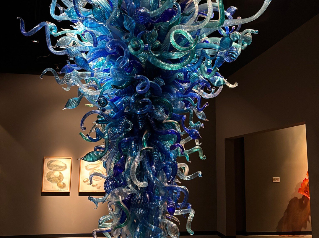 Chihuly Collection-圣彼德斯堡必去景点