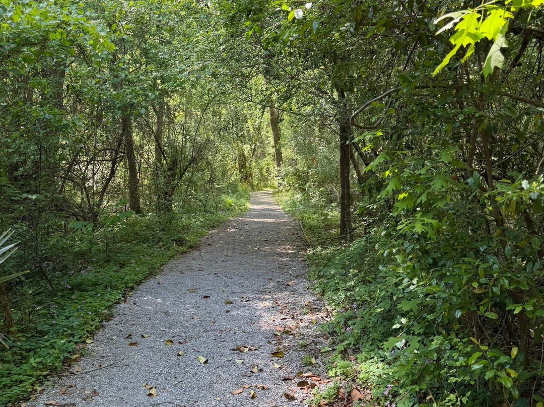 Bluebonnet Swamp Nature Center-巴吞鲁日必去景点