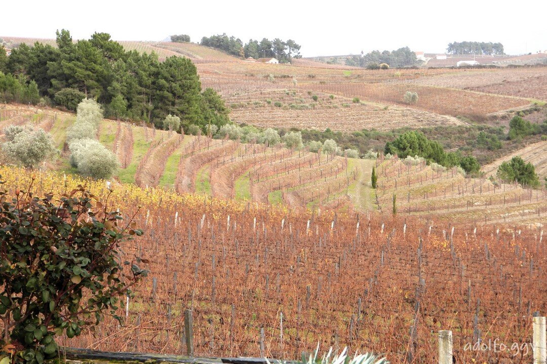 Quinta de Avessada-Favaios必去景点