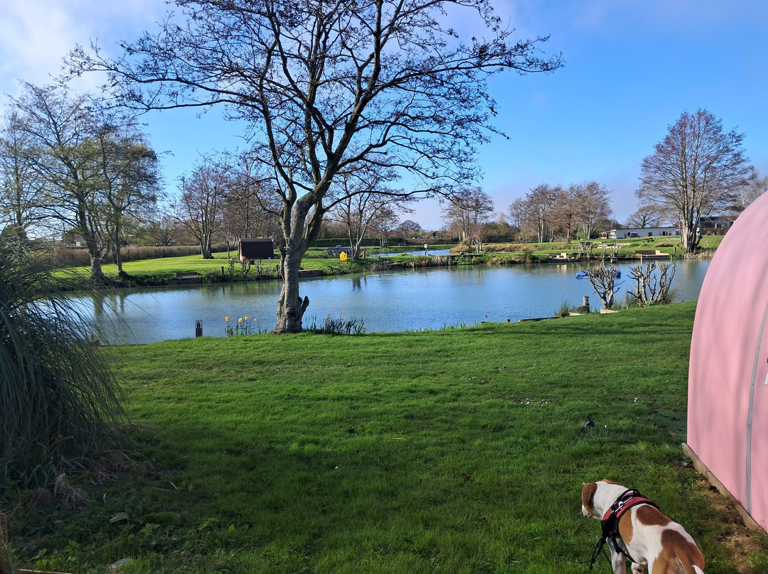 Burton Springs Fishing and Holidays-布里奇沃特必去景点