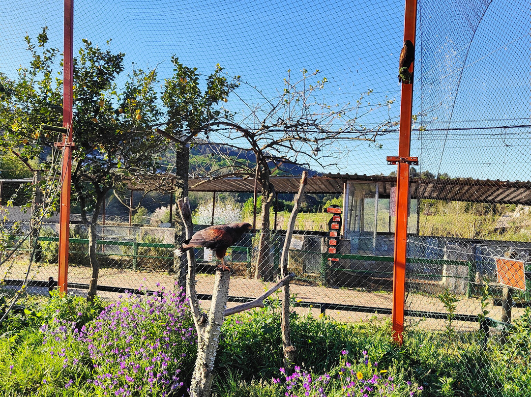 Quinta Pedagógica Quinta das Manas-吉马良斯必去景点